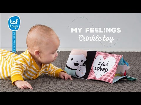 Libro mis sentimientos