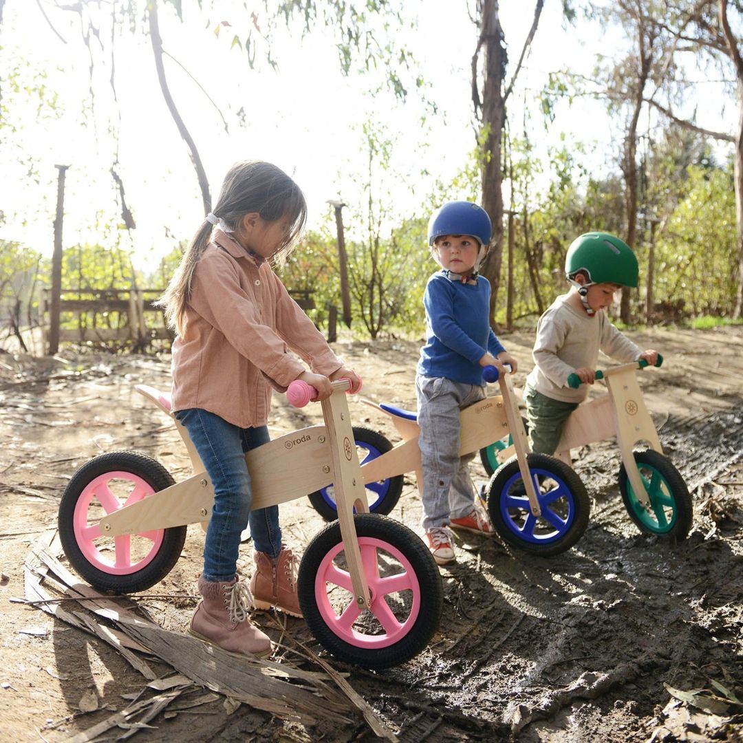 Bicicleta Roda Clásica