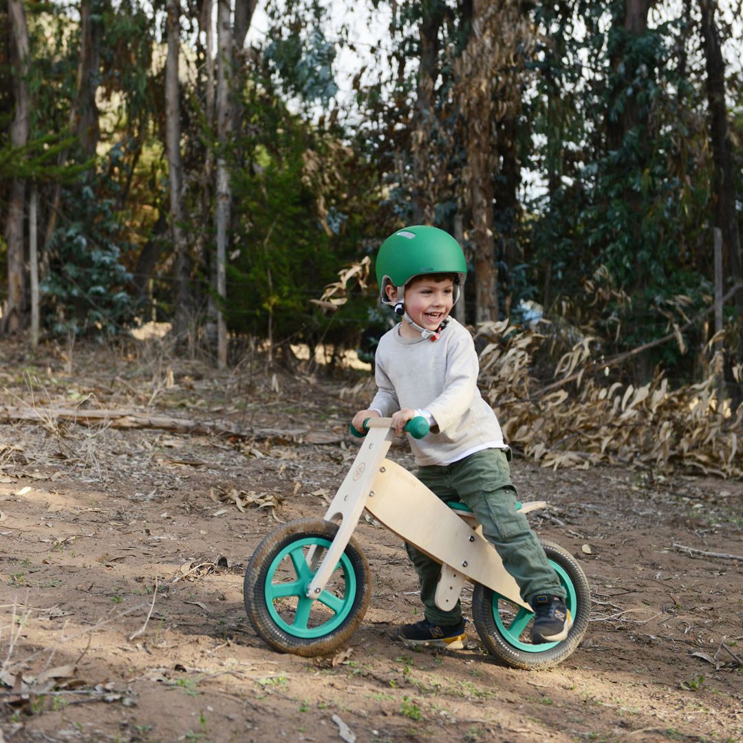 Bicicleta Roda Clásica